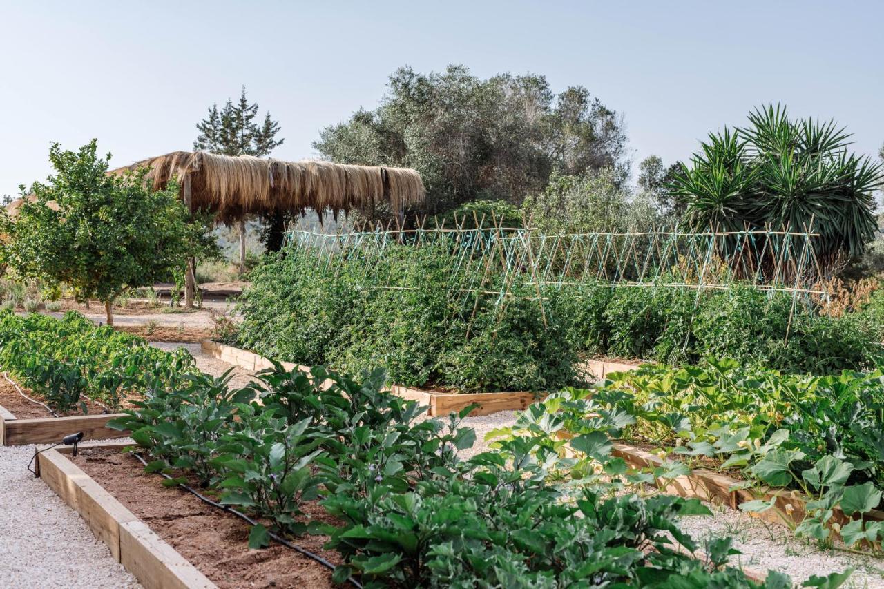 Agroturismo Can Domo Santa Eularia des Riu Eksteriør billede